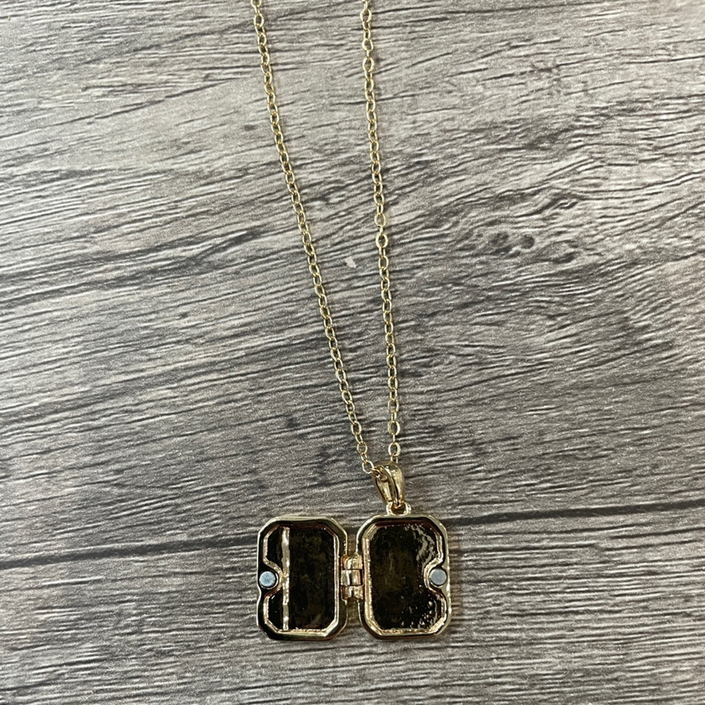 Greenwich Gold Picture Locket